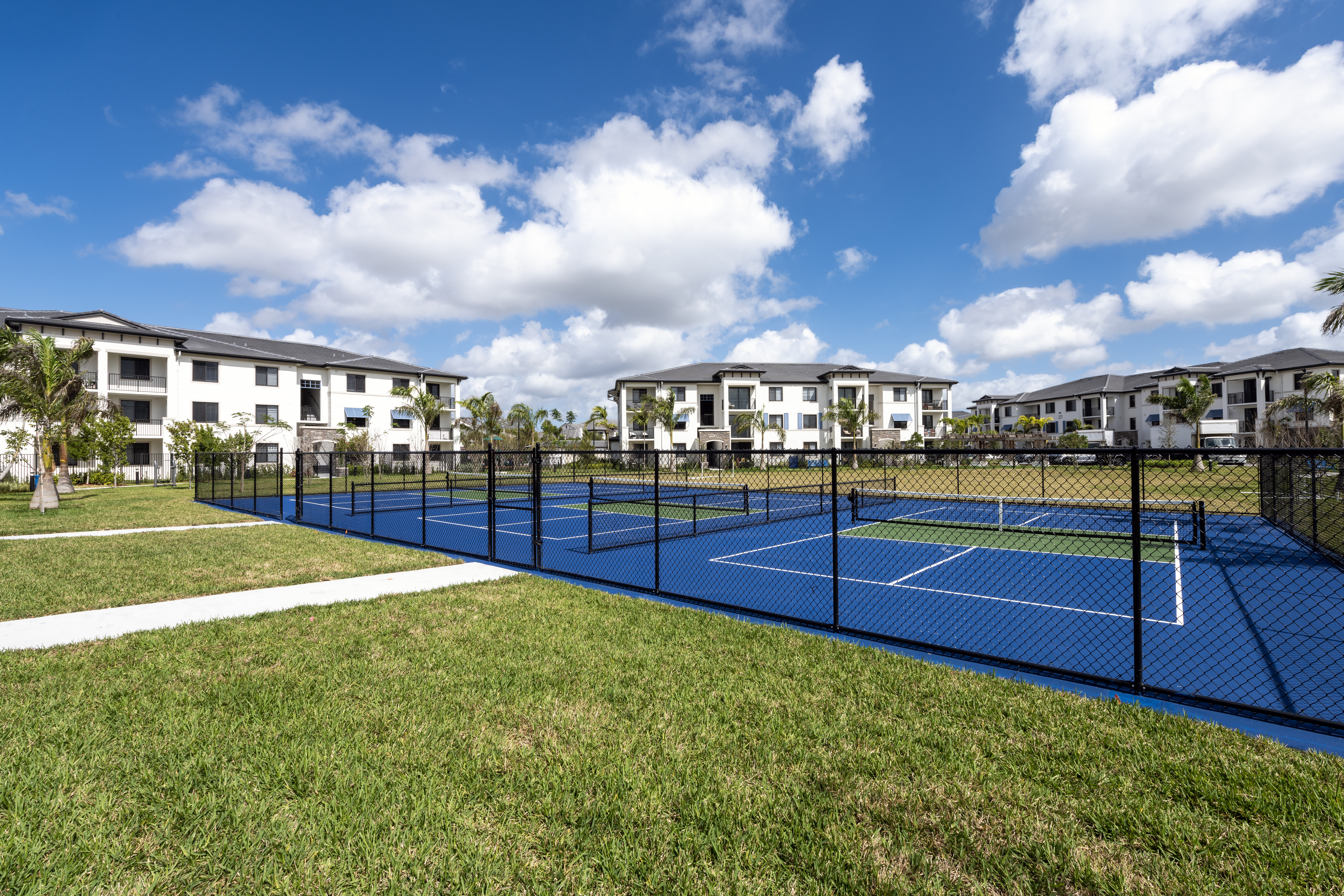 Pickleball Court